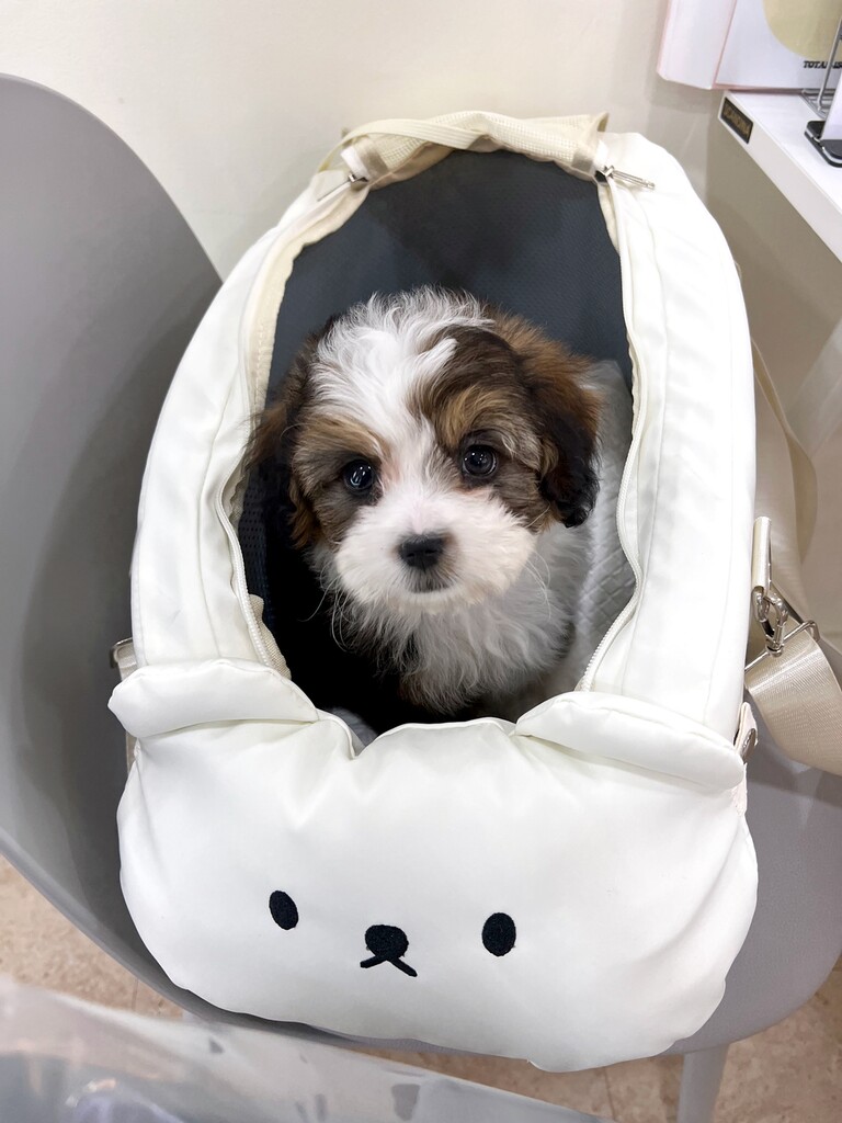 Ȯ�� �̹���