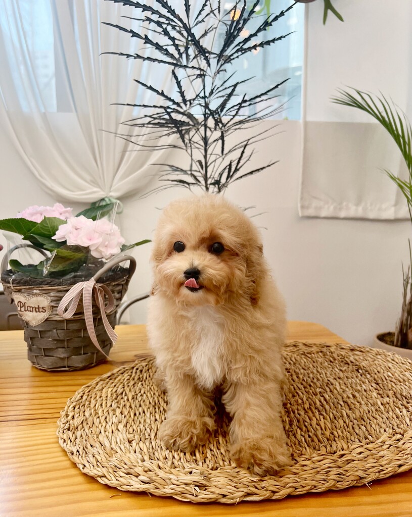 Ȯ�� �̹���