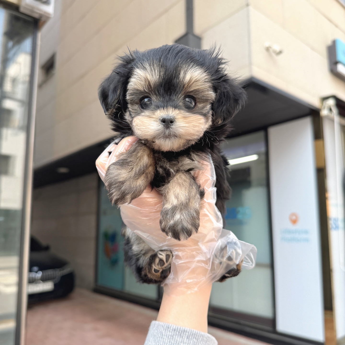 Ȯ�� �̹���