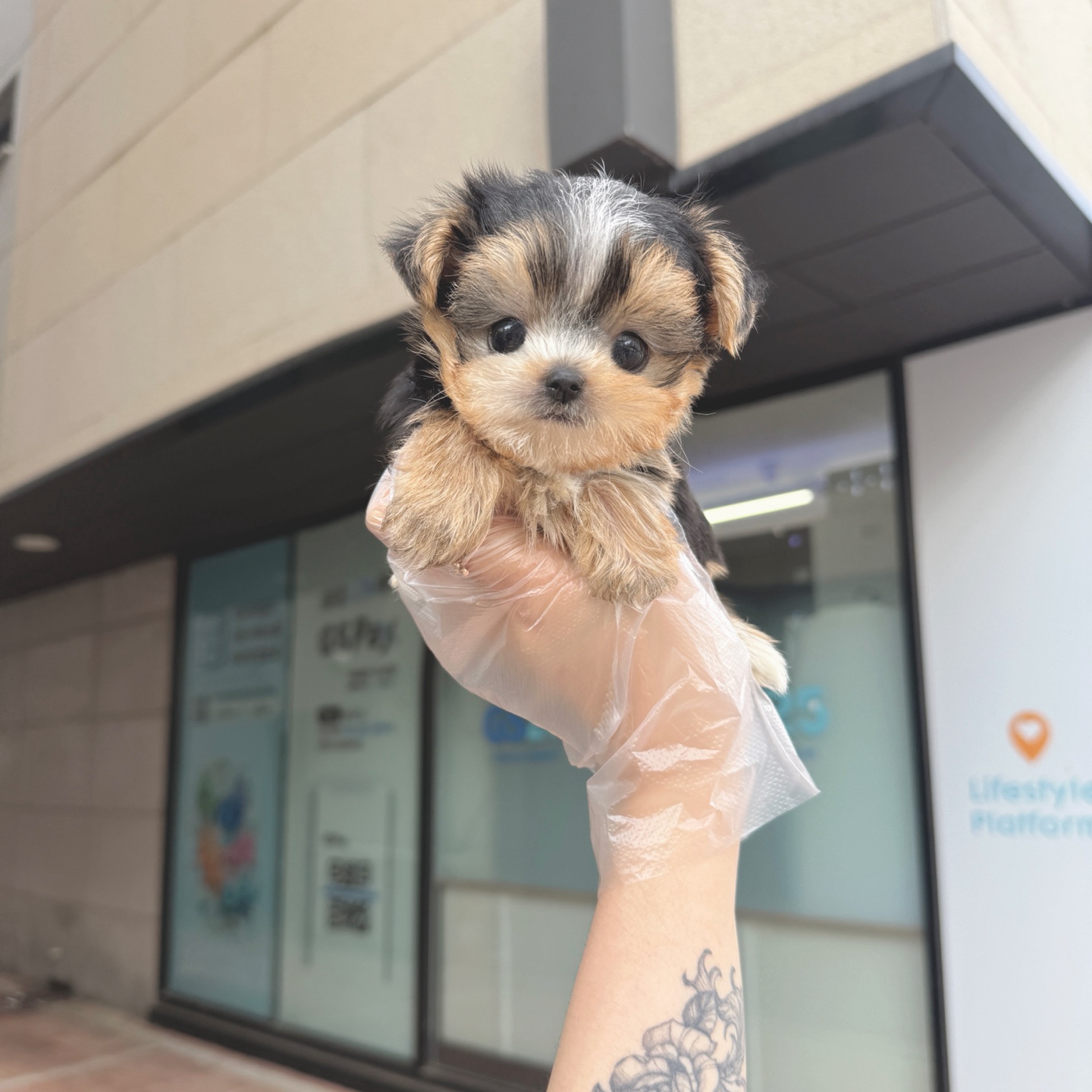 Ȯ�� �̹���