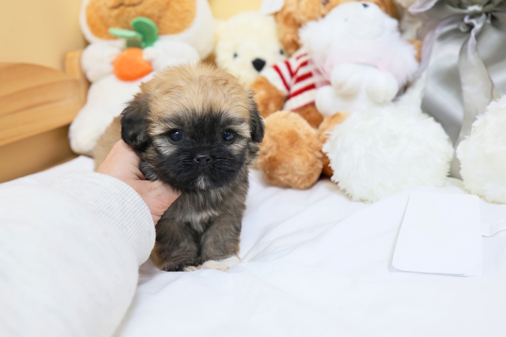 Ȯ�� �̹���