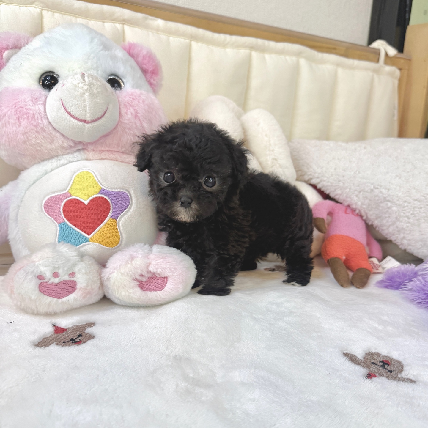 Ȯ�� �̹���