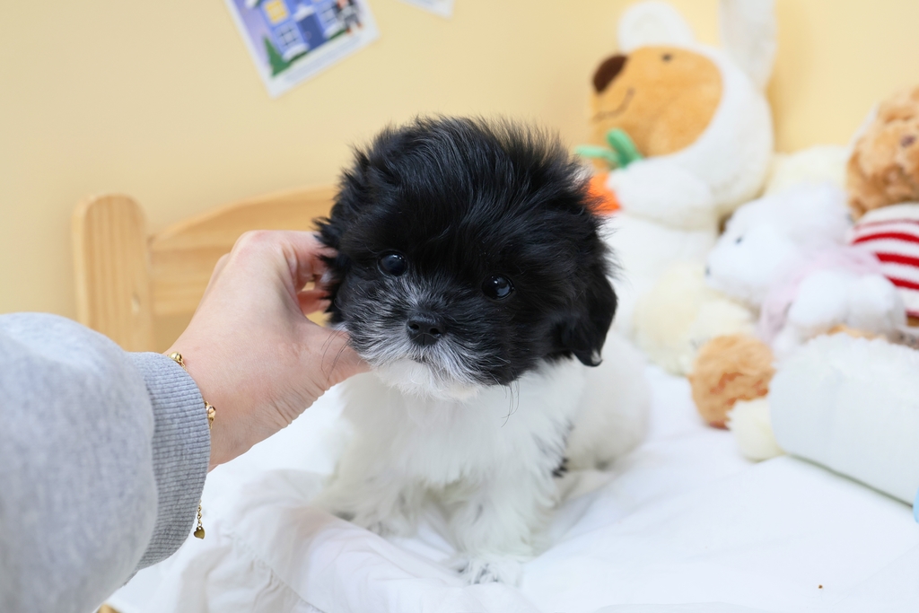 Ȯ�� �̹���