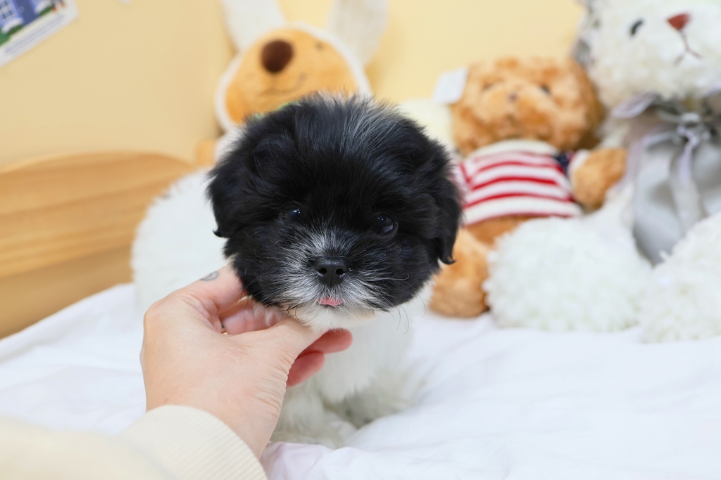 Ȯ�� �̹���