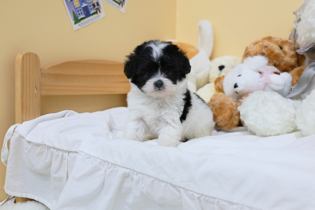 Ȯ�� �̹���