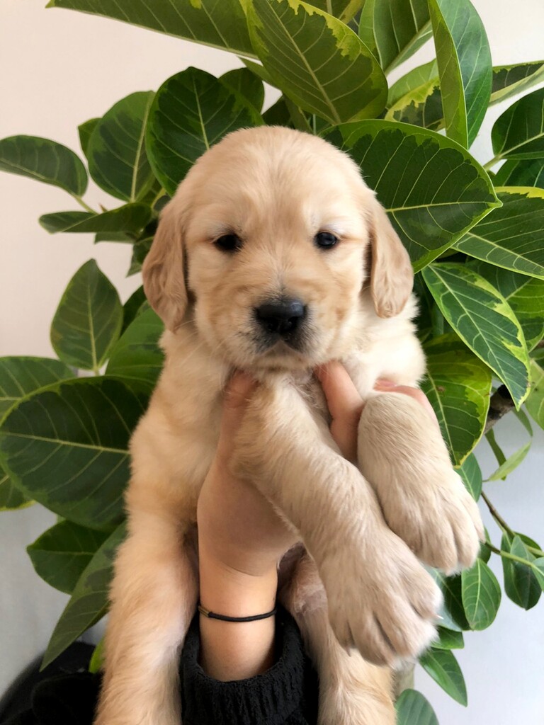 Ȯ�� �̹���