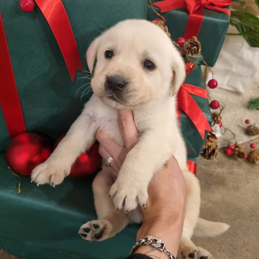 Ȯ�� �̹���