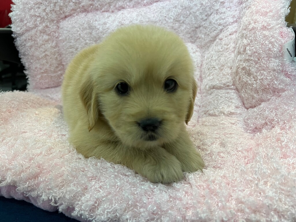 Ȯ�� �̹���