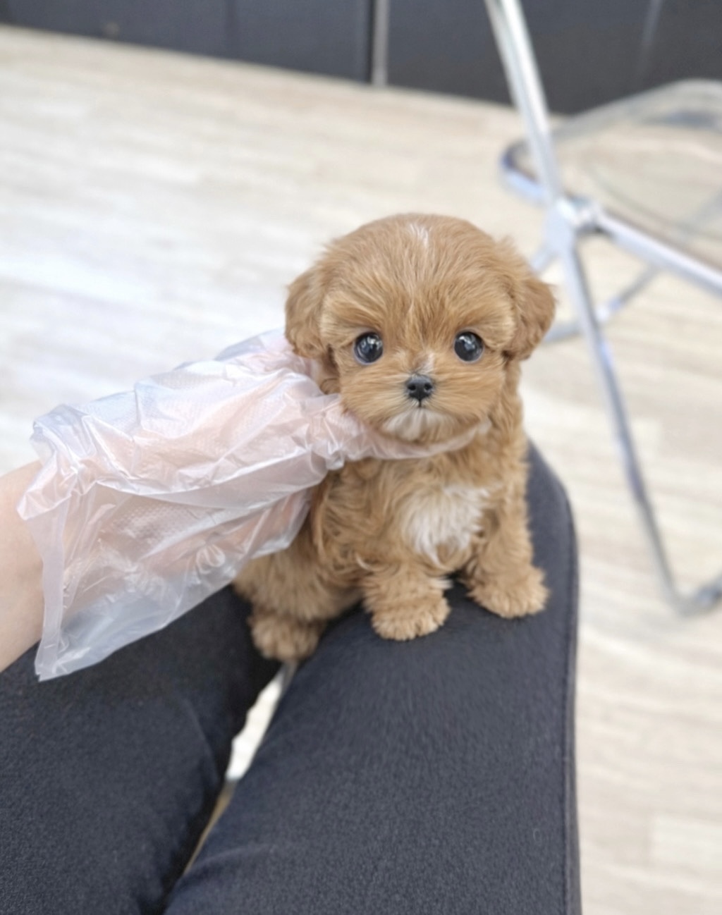 Ȯ�� �̹���