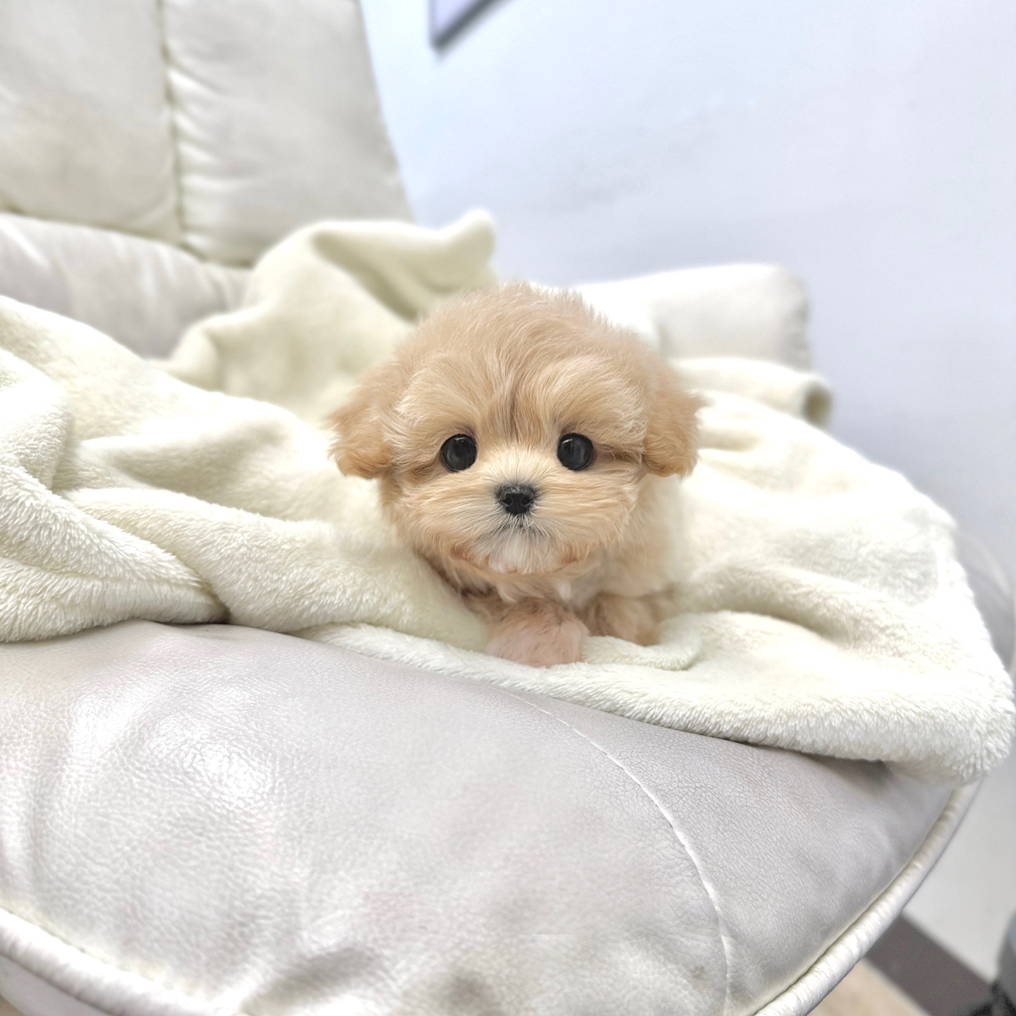 Ȯ�� �̹���