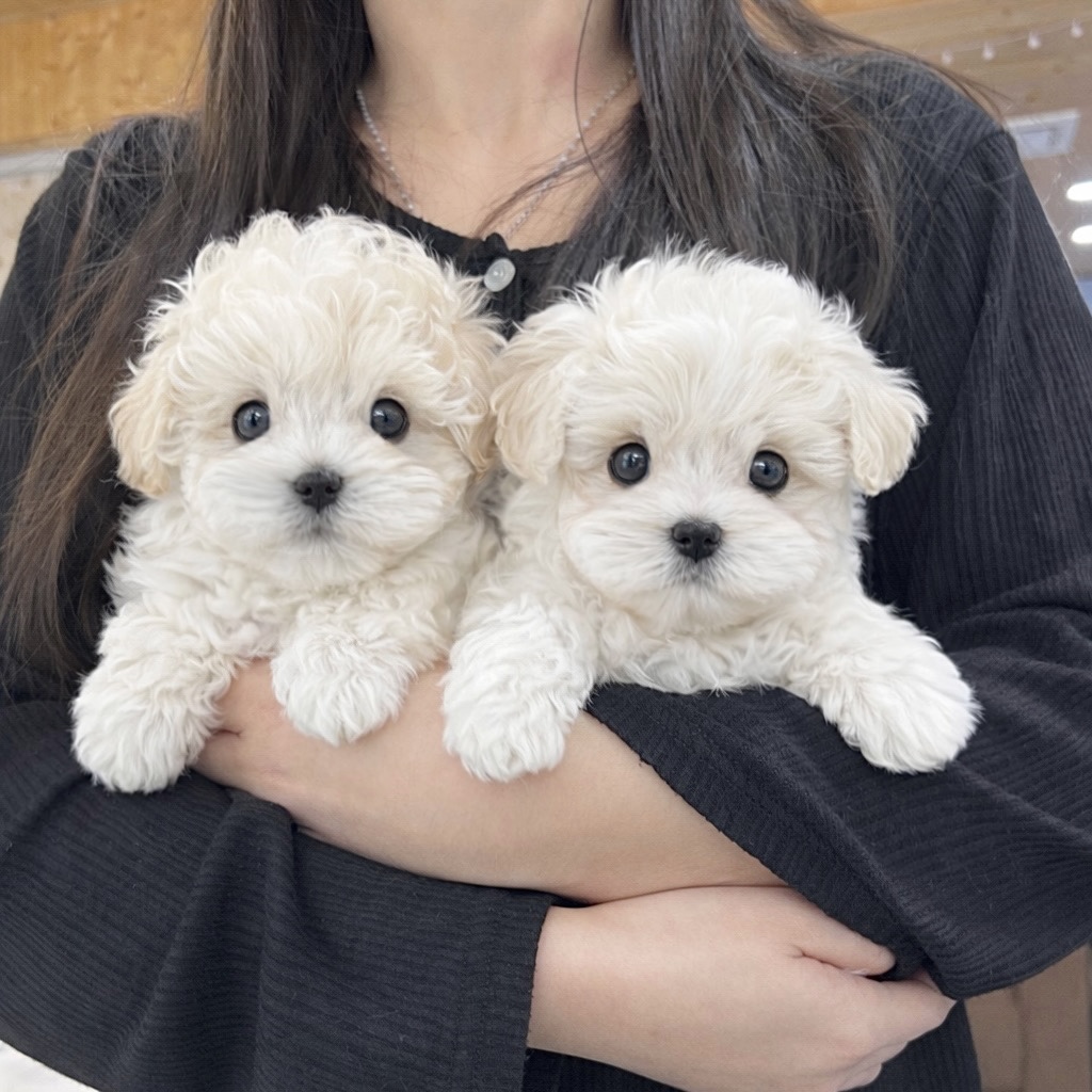 Ȯ�� �̹���