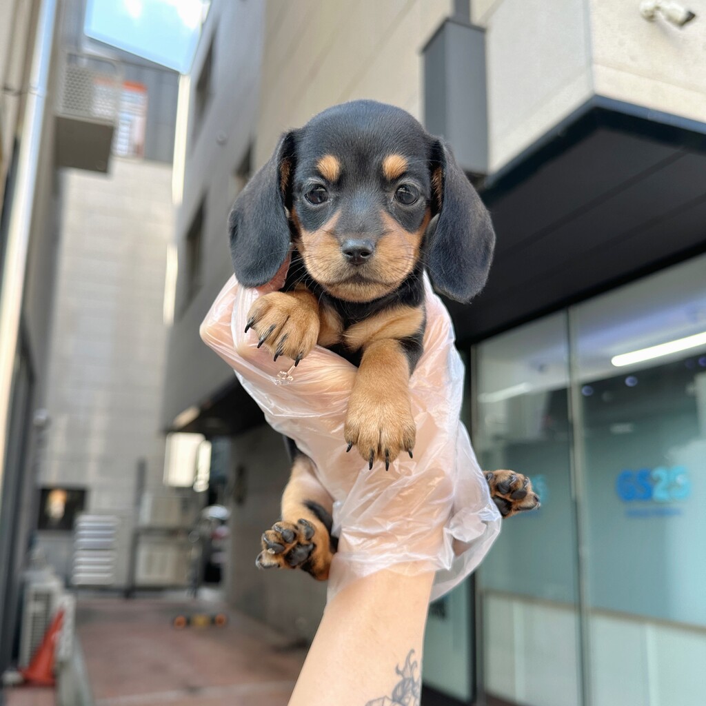 Ȯ�� �̹���