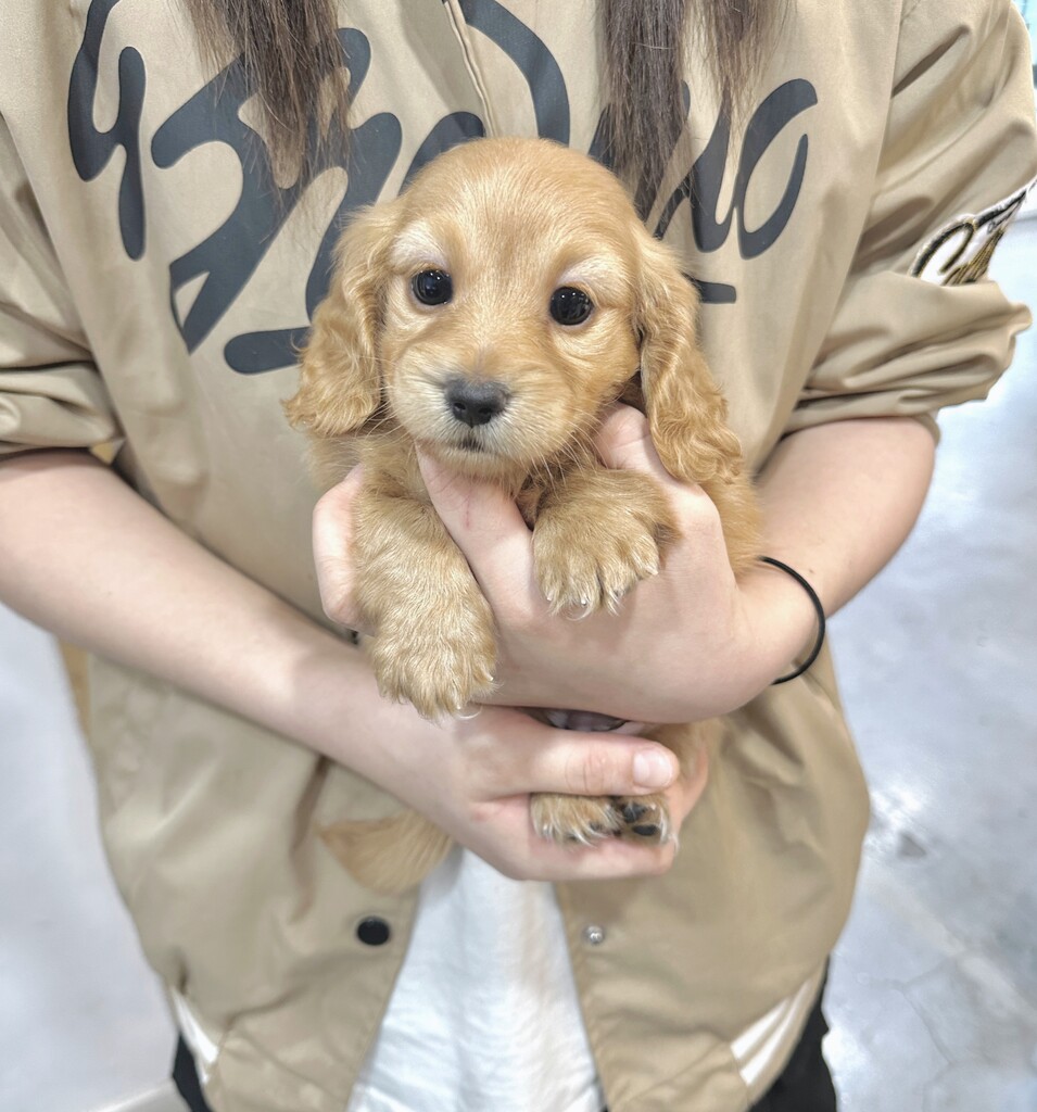 Ȯ�� �̹���