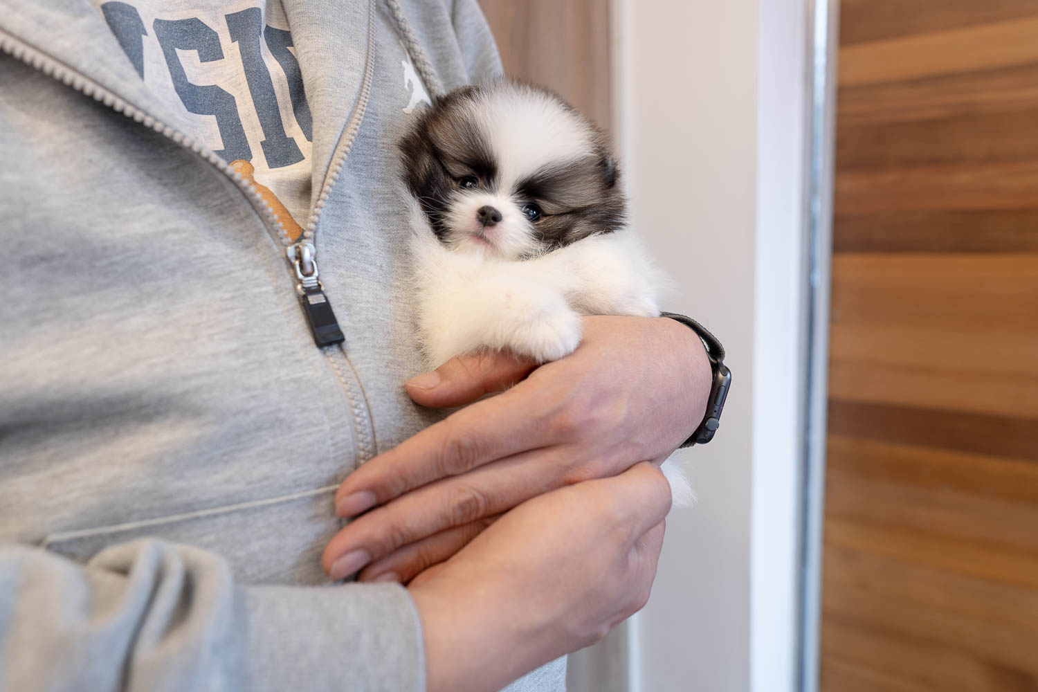 Ȯ�� �̹���