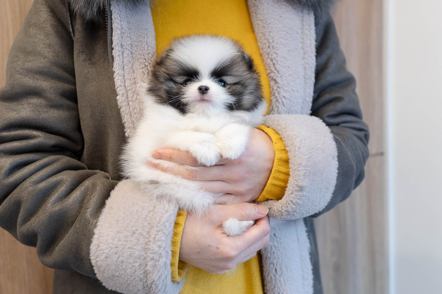 Ȯ�� �̹���