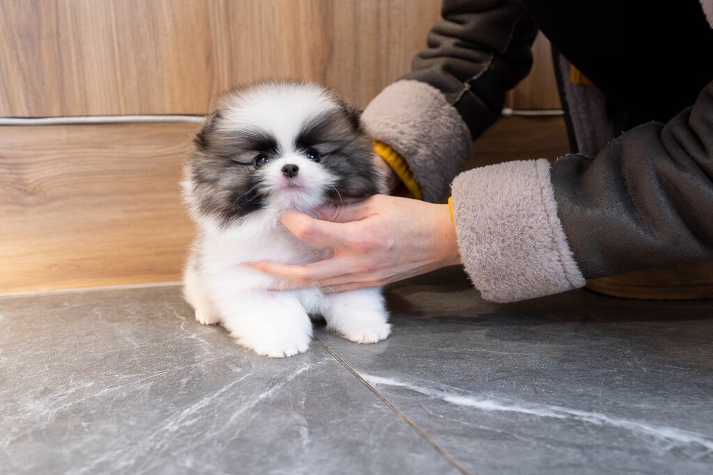 Ȯ�� �̹���