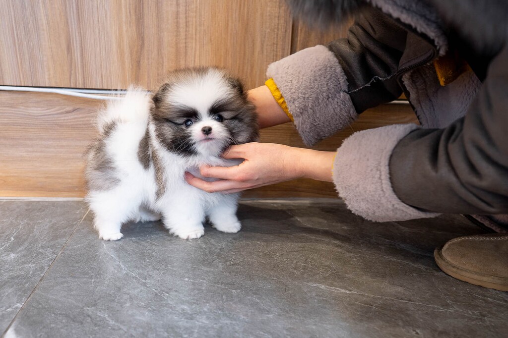 Ȯ�� �̹���