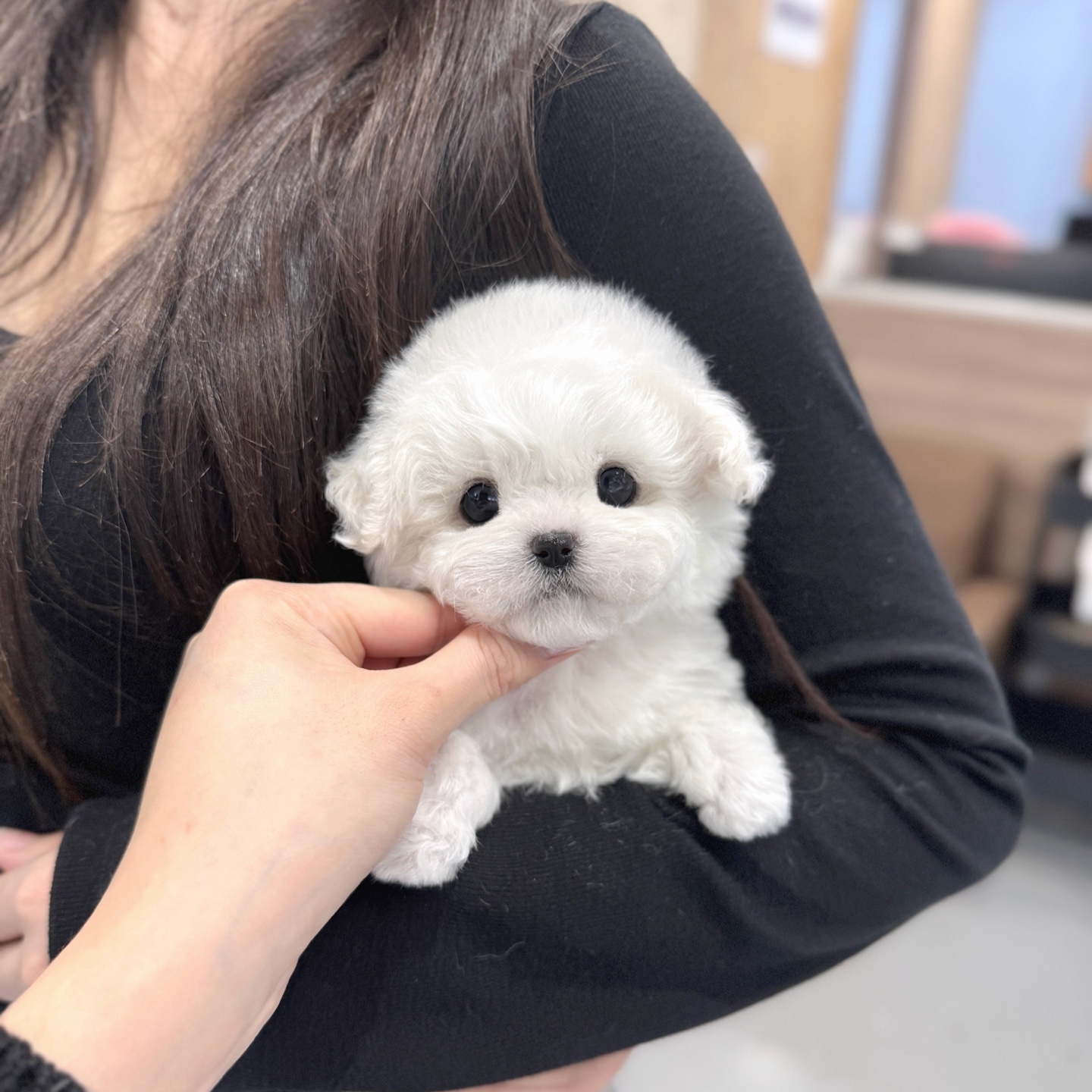 Ȯ�� �̹���