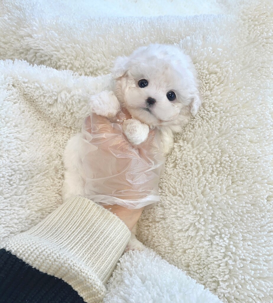 Ȯ�� �̹���