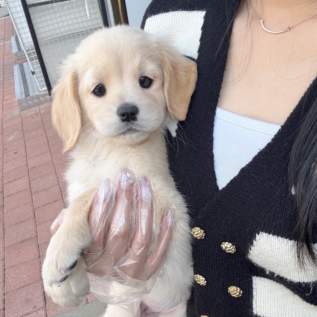 Ȯ�� �̹���