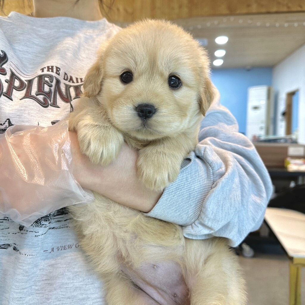 Ȯ�� �̹���