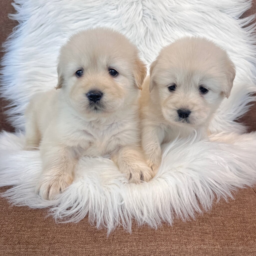 Ȯ�� �̹���