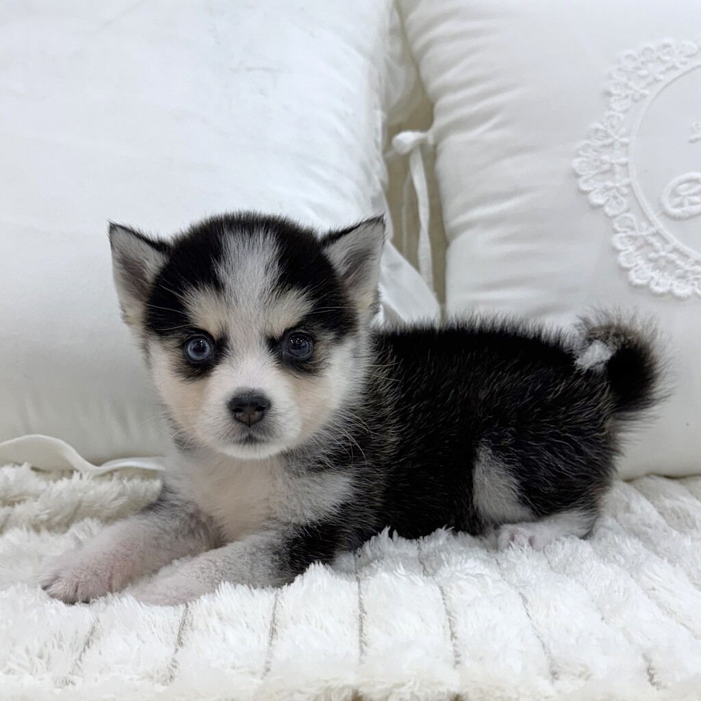 Ȯ�� �̹���