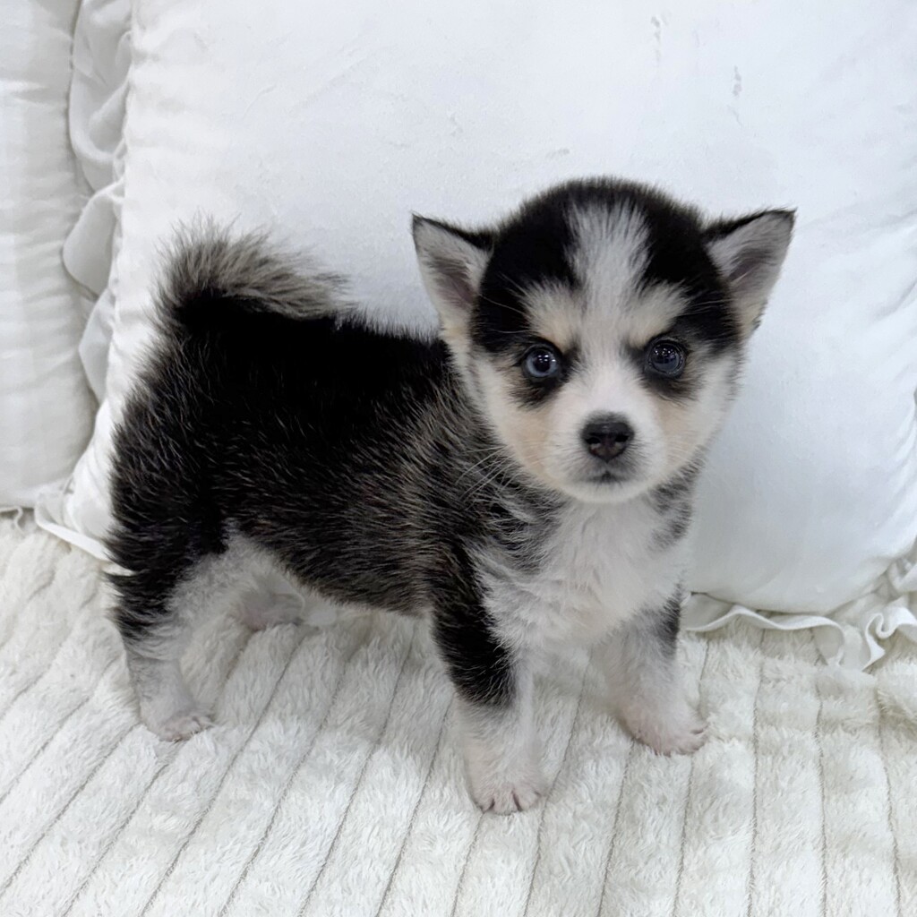 Ȯ�� �̹���