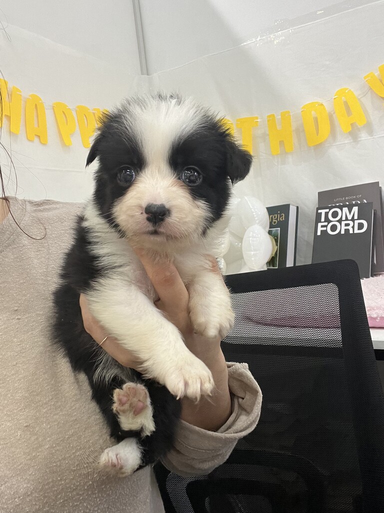 Ȯ�� �̹���