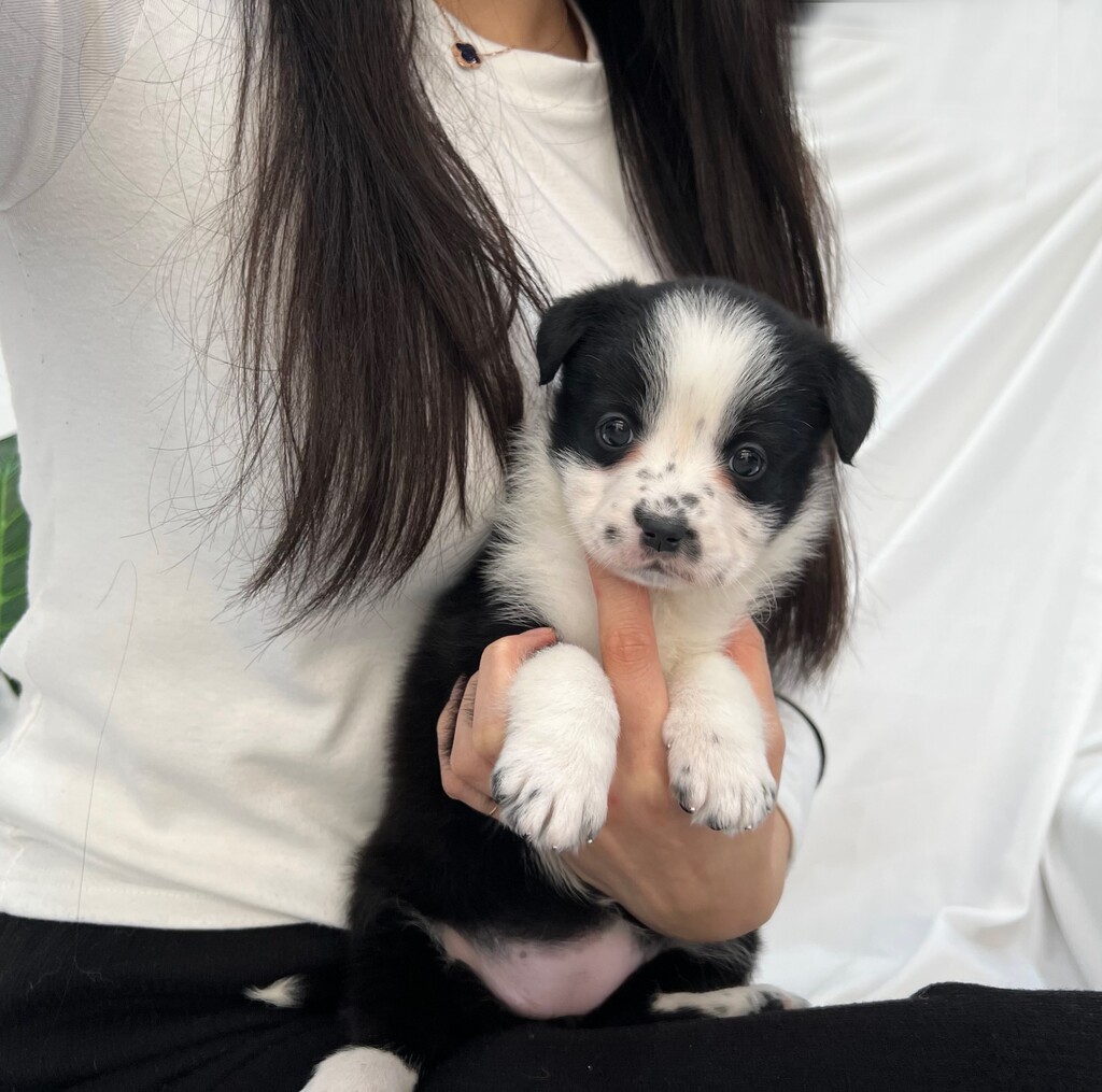 Ȯ�� �̹���