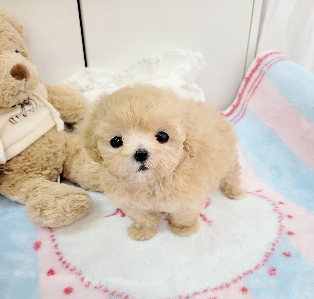 Ȯ�� �̹���