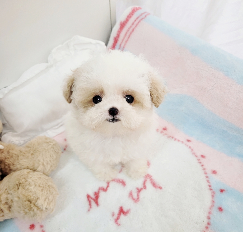 Ȯ�� �̹���