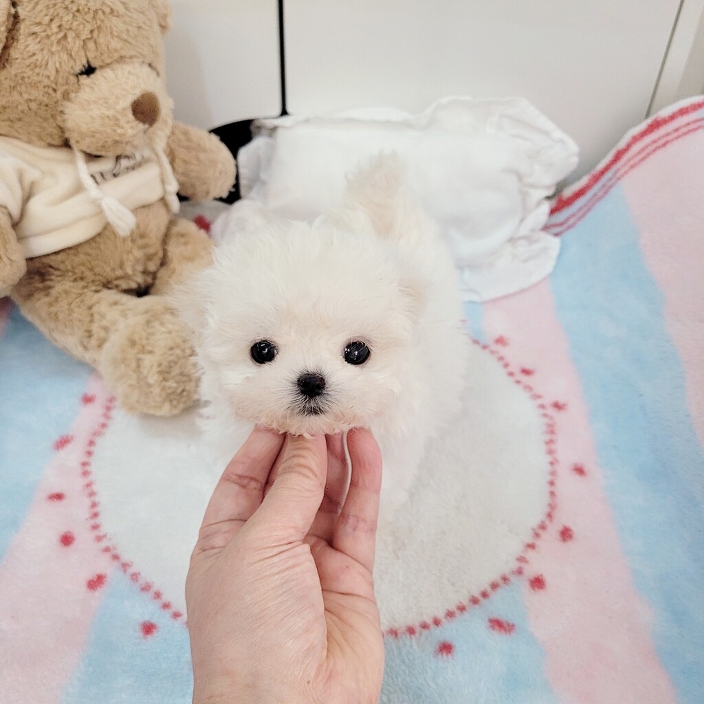 Ȯ�� �̹���