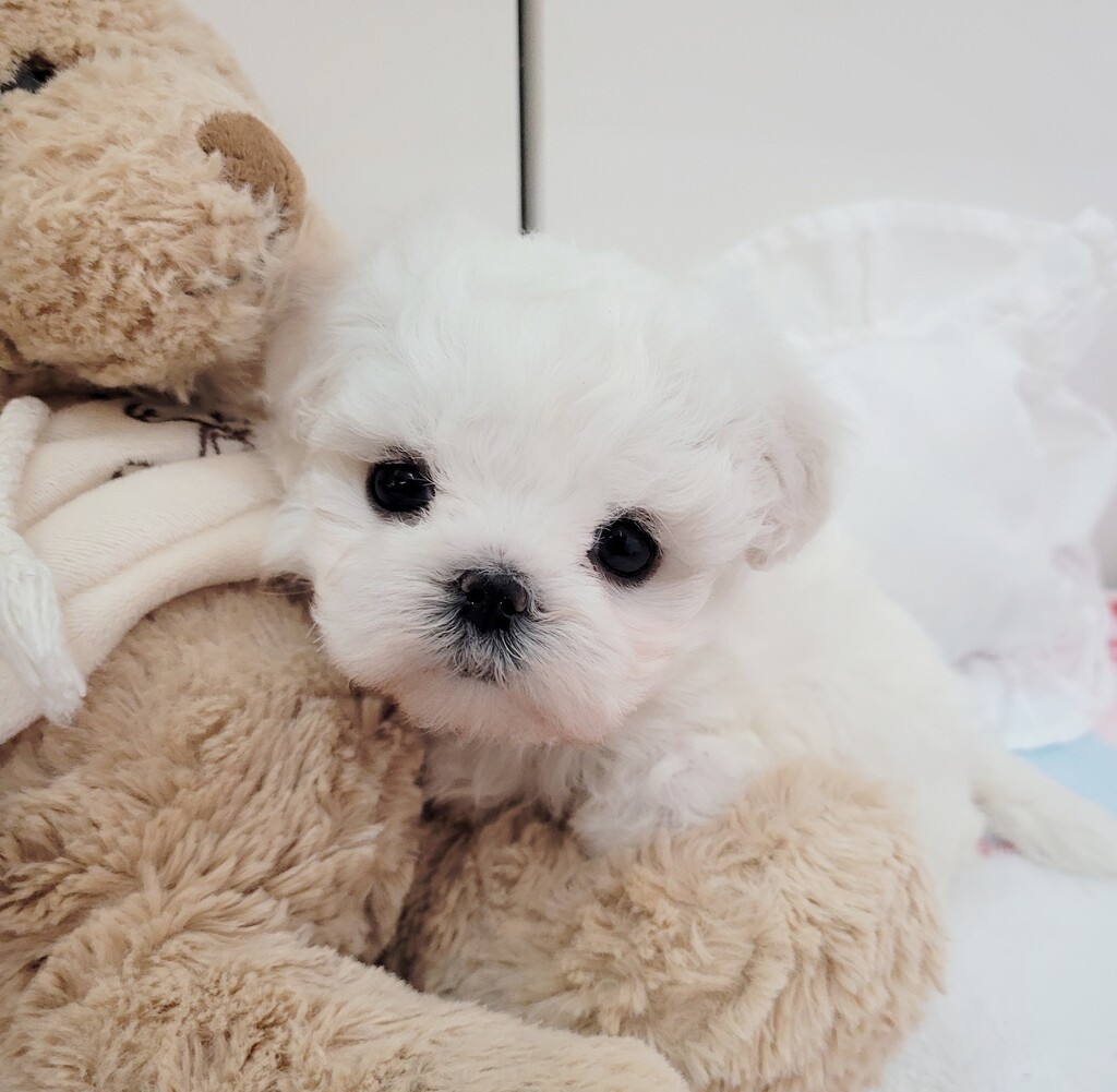 Ȯ�� �̹���