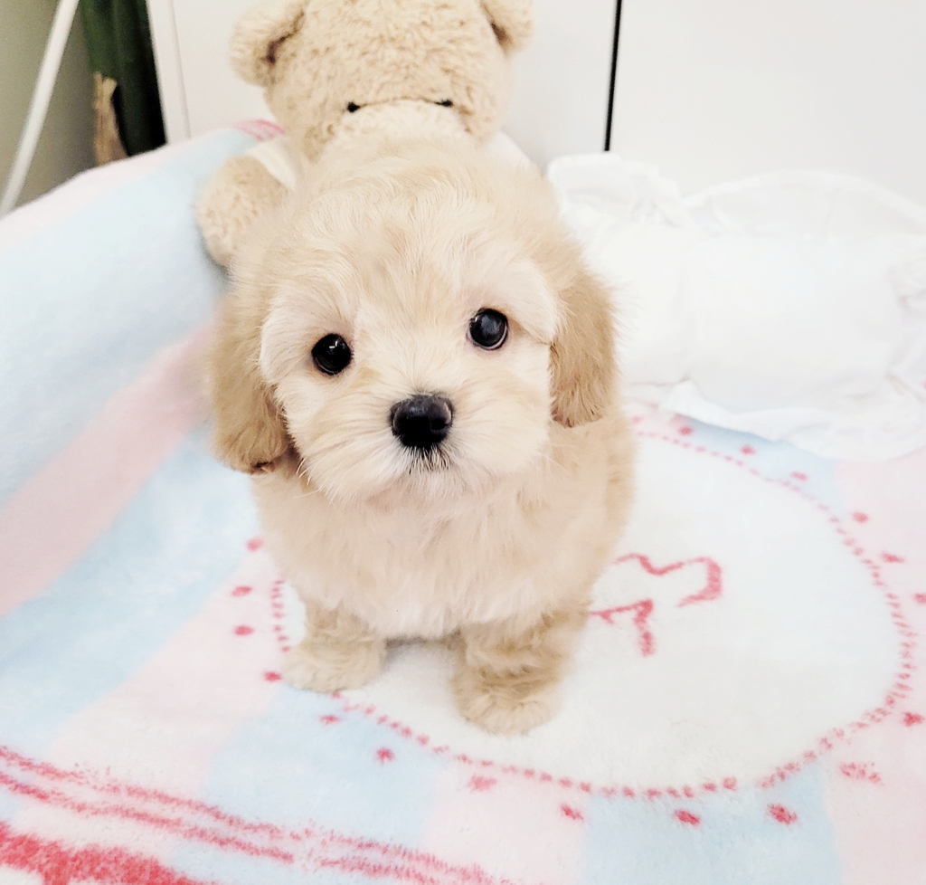 Ȯ�� �̹���