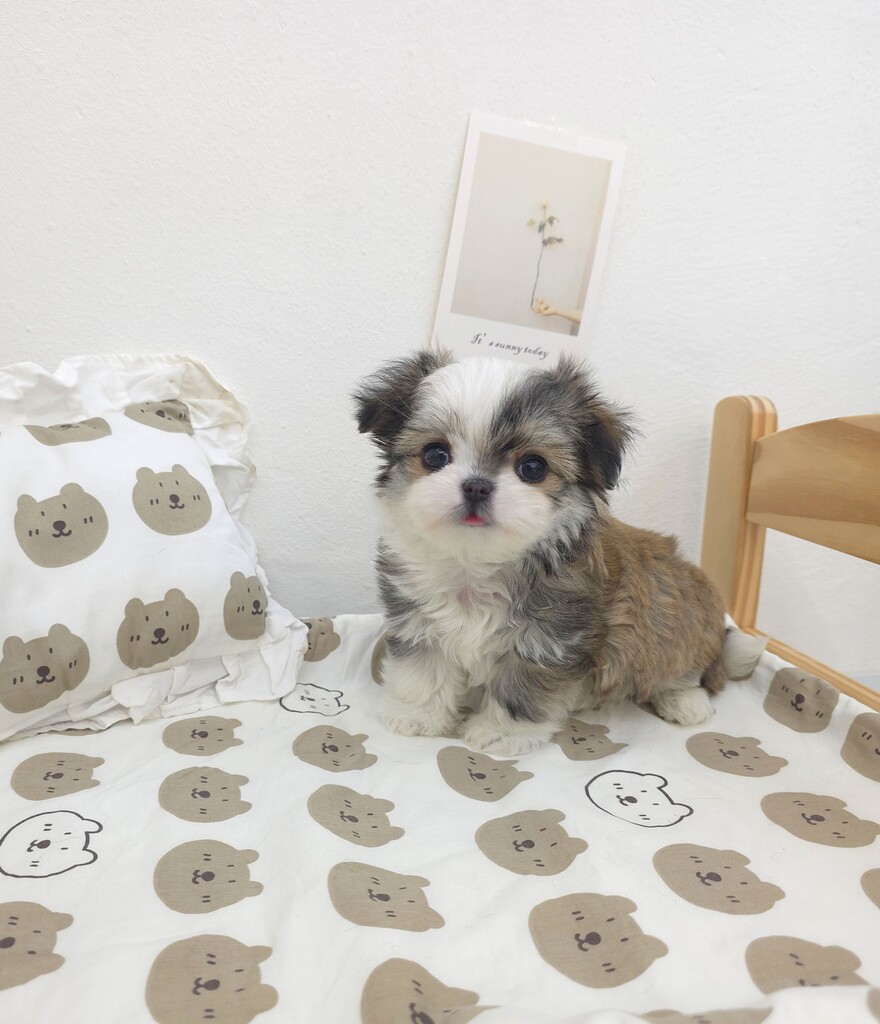 Ȯ�� �̹���