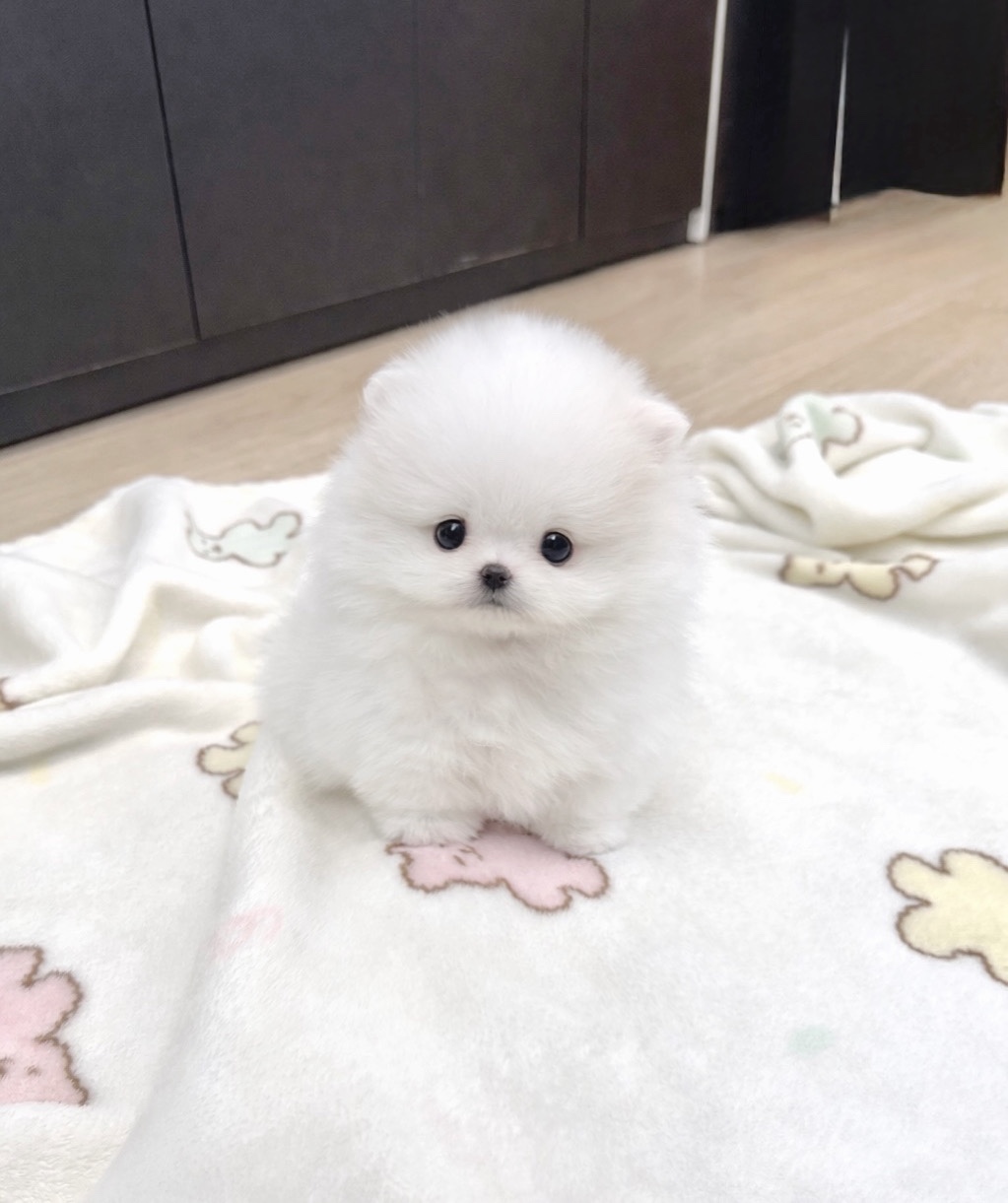 Ȯ�� �̹���