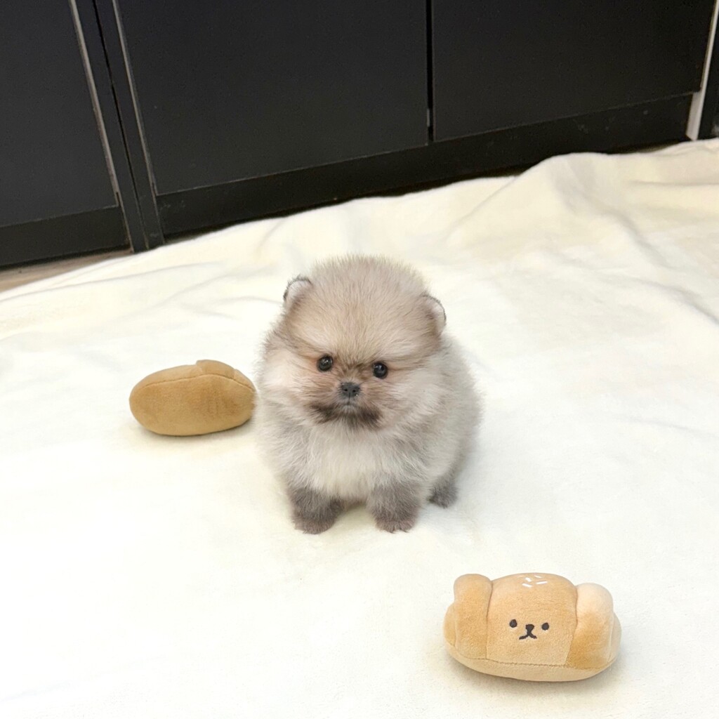 Ȯ�� �̹���