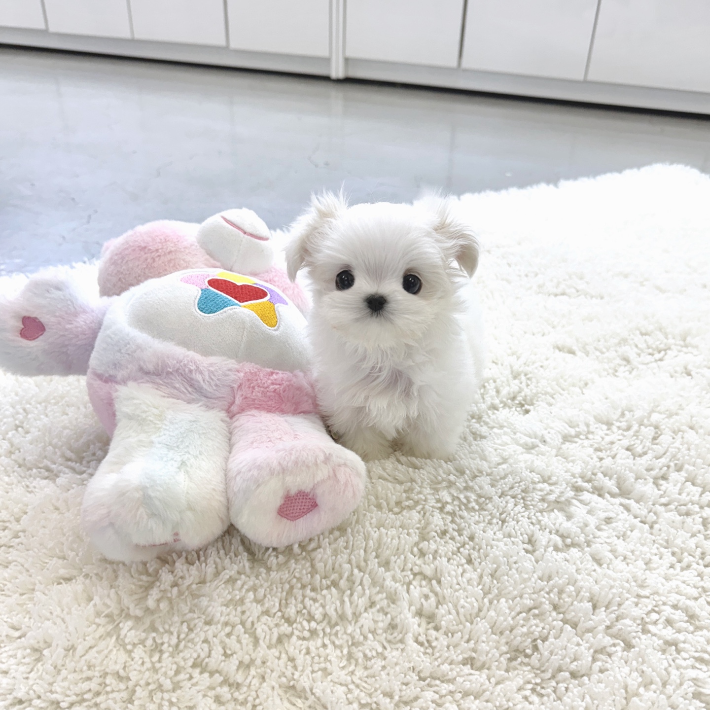 Ȯ�� �̹���