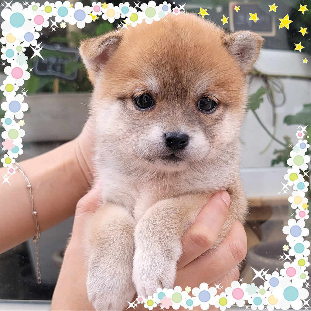 Ȯ�� �̹���