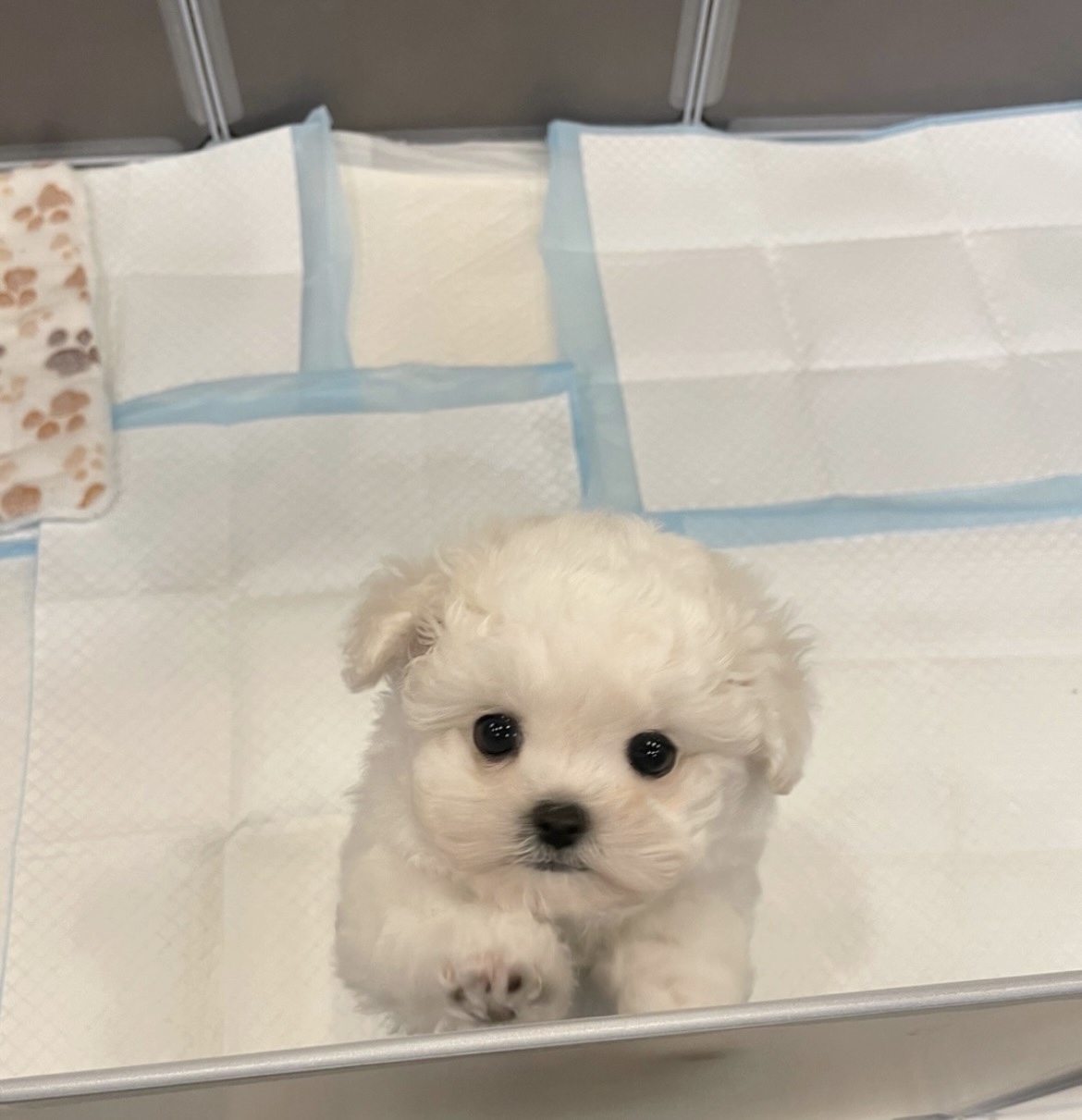 Ȯ�� �̹���