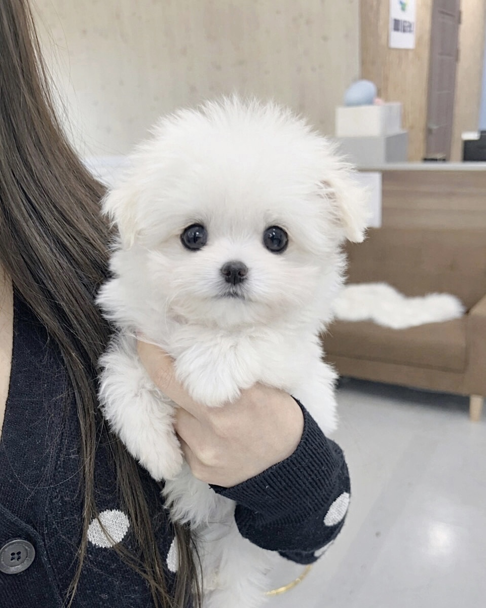 Ȯ�� �̹���