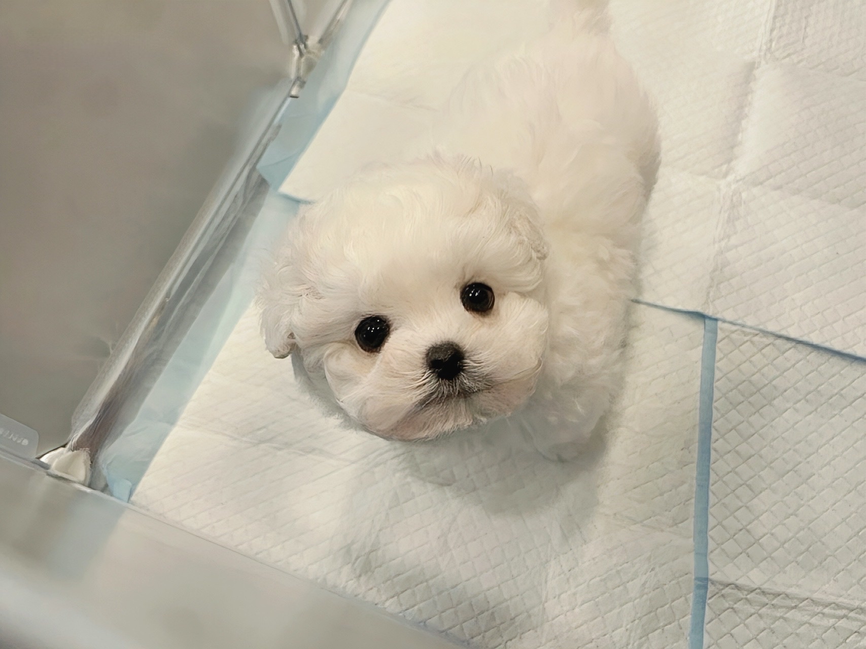 Ȯ�� �̹���