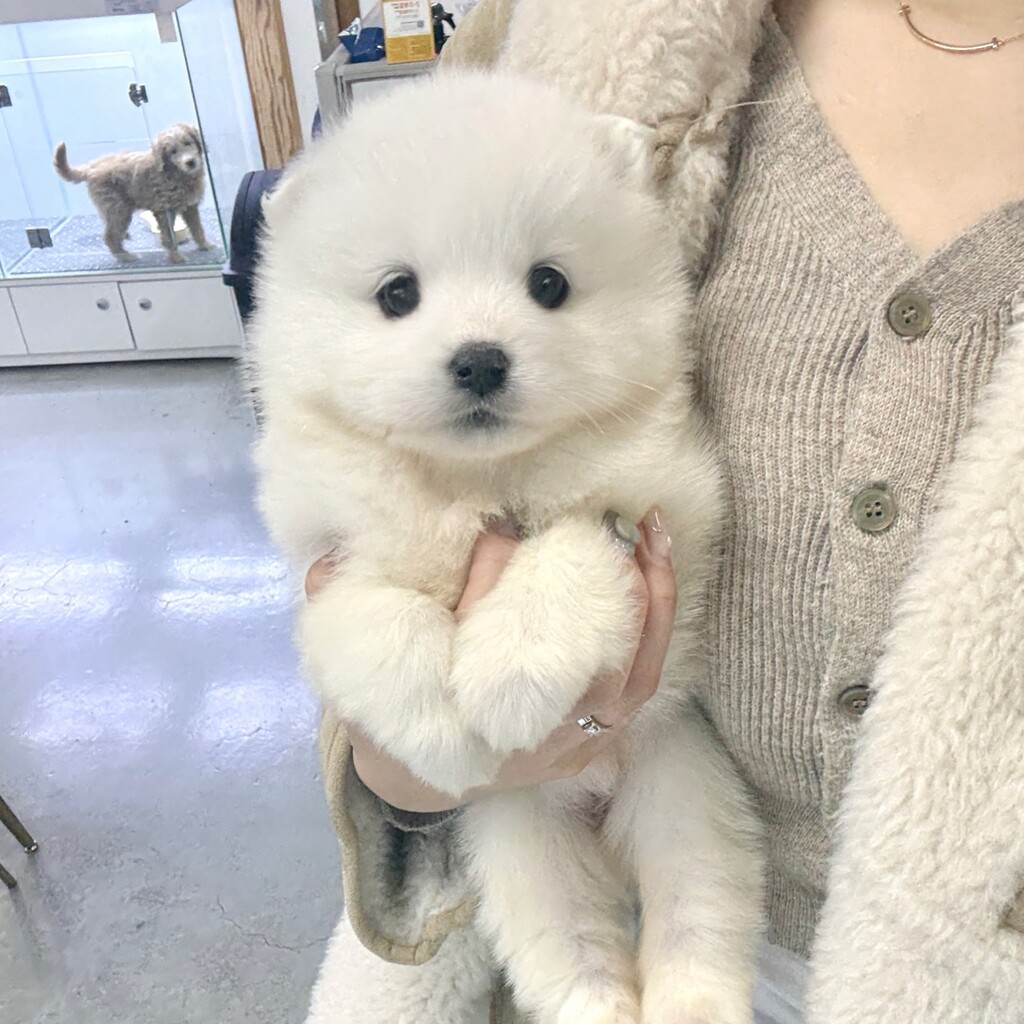 Ȯ�� �̹���