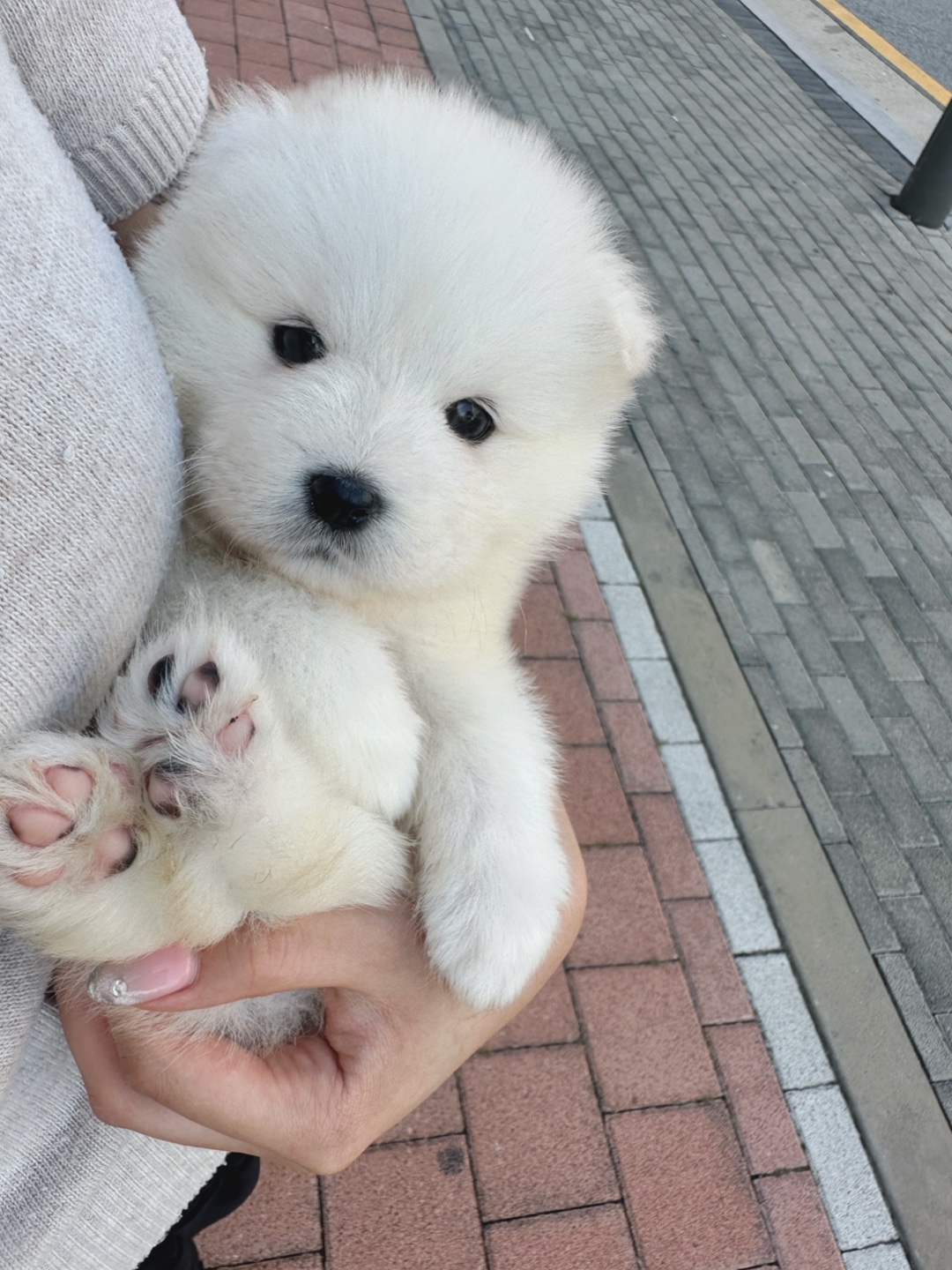 Ȯ�� �̹���