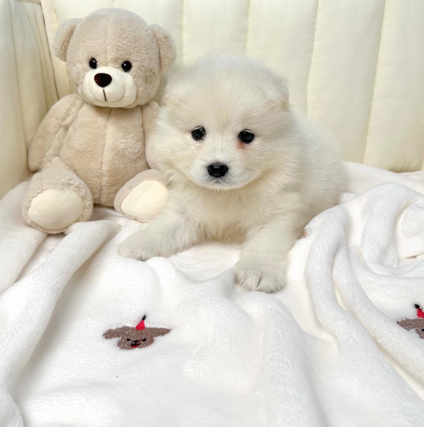 Ȯ�� �̹���