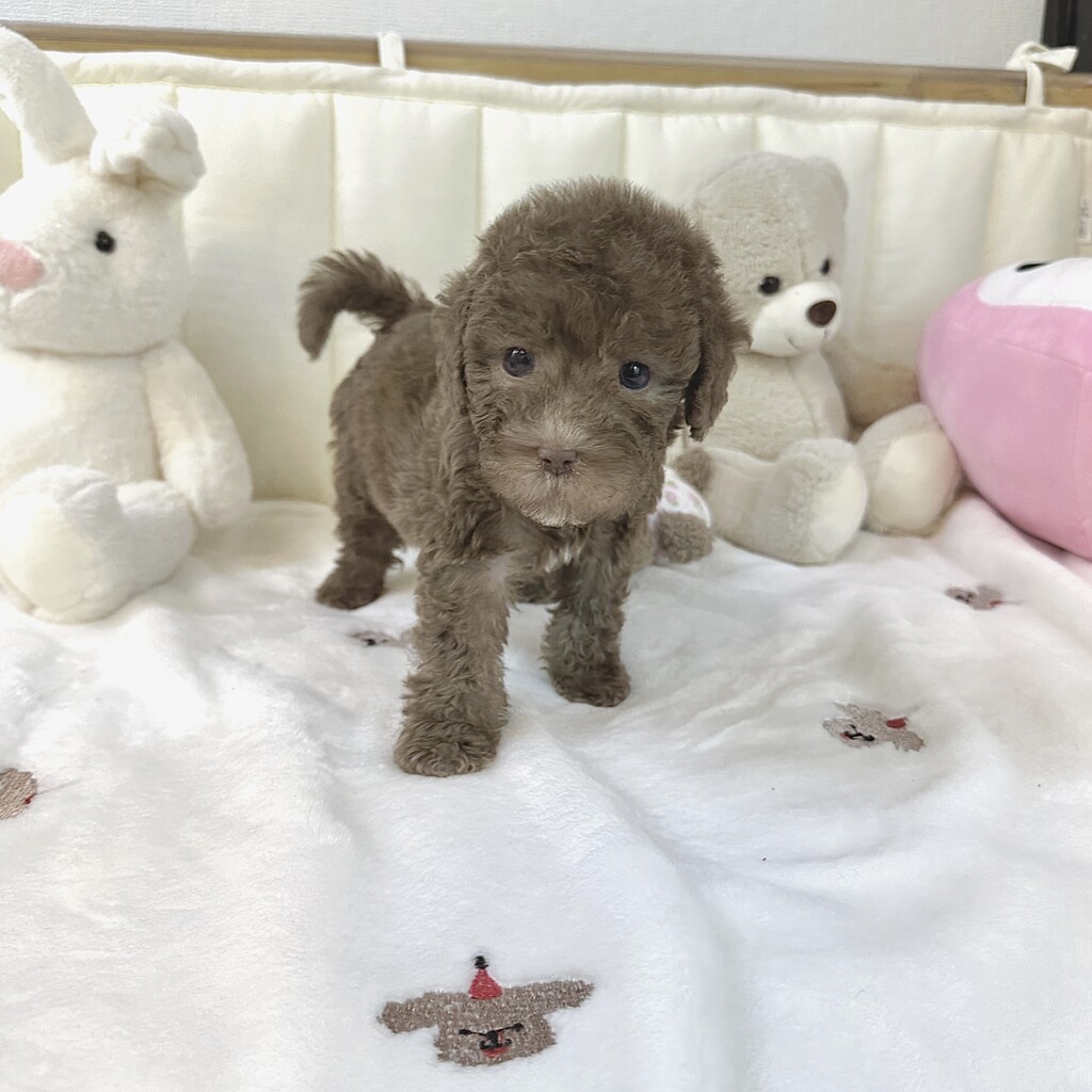 Ȯ�� �̹���