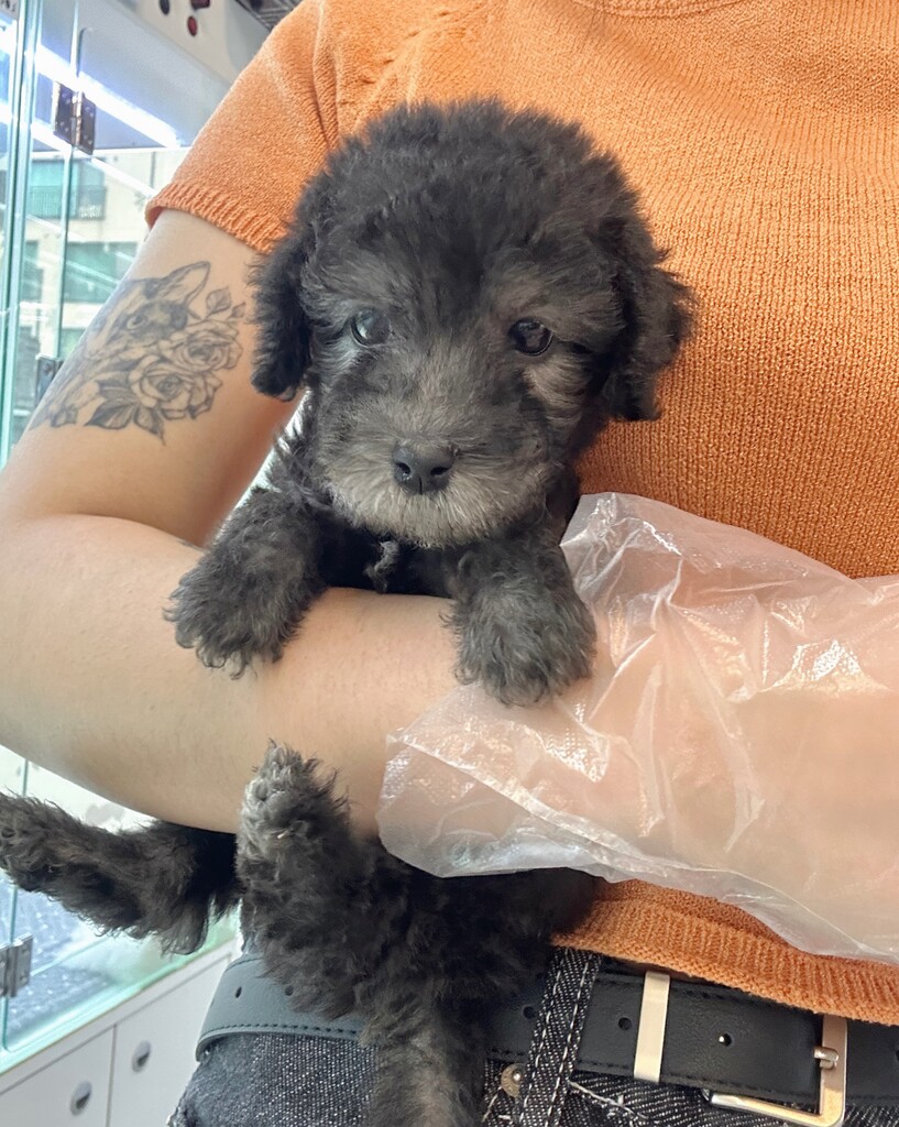 Ȯ�� �̹���