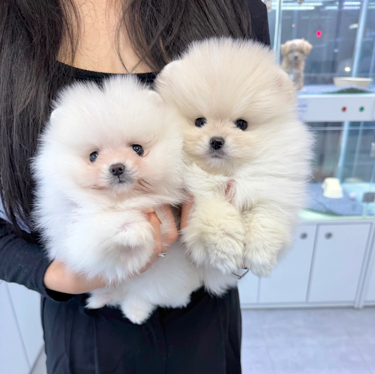 Ȯ�� �̹���