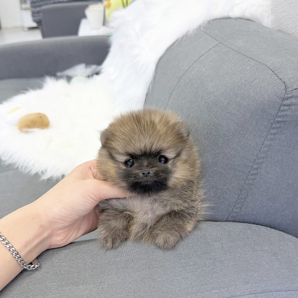 Ȯ�� �̹���